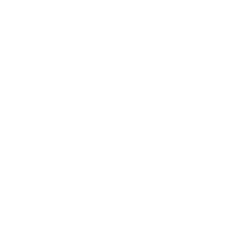 Hand holding dollar coin icon